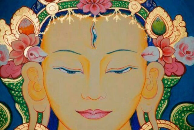 Aquest 24 de Setembre és el dia de Tara