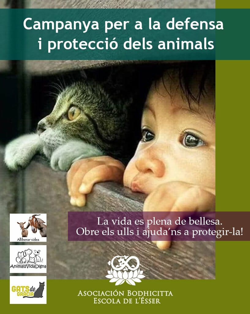 Campanya per a la defensa i protecció dels animals