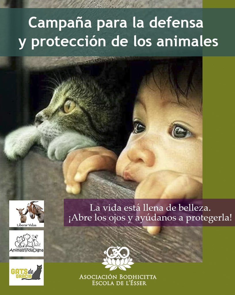 Campaña para la defensa y protección de los animales