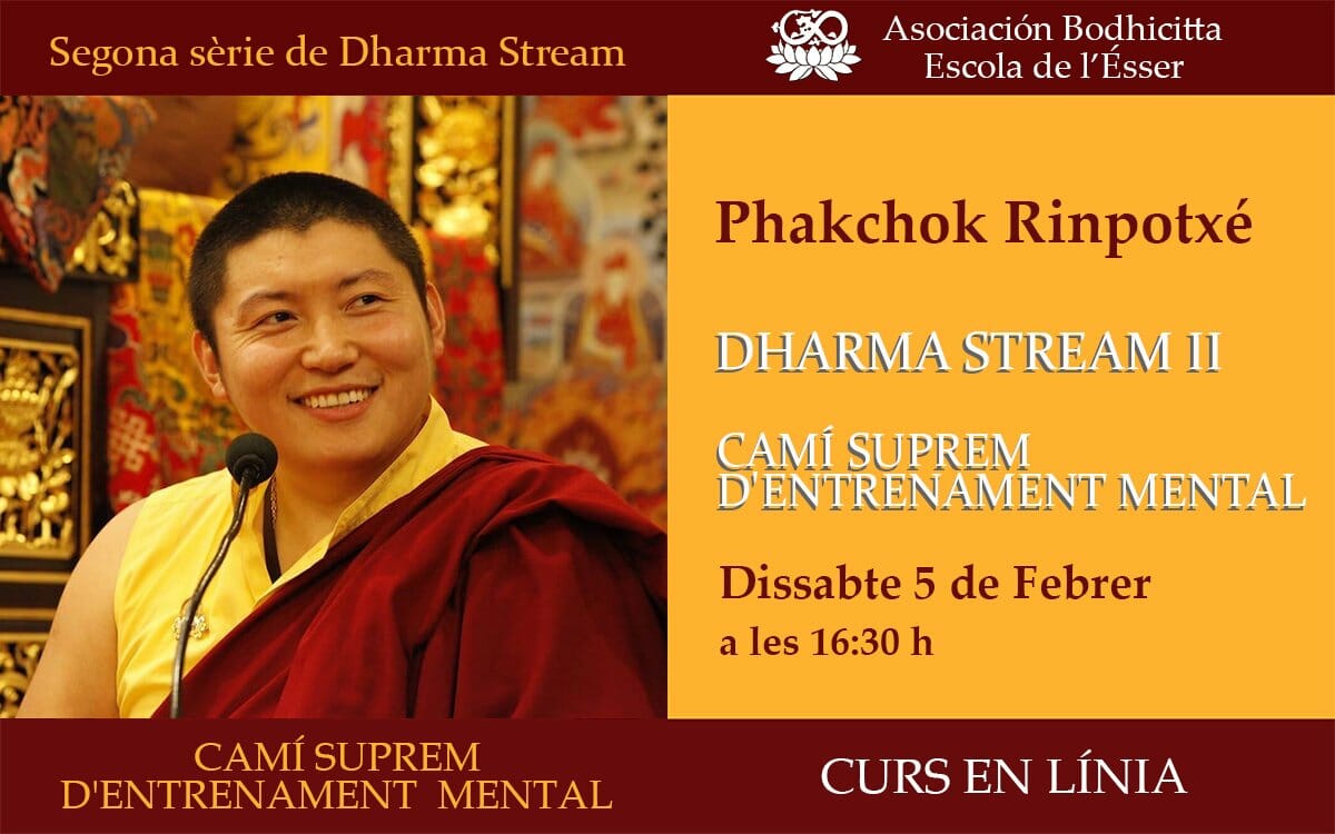 Ensenyances «Dharma Stream II» de Phakchok Rinpoche: «Camí suprem d’entrenament mental»