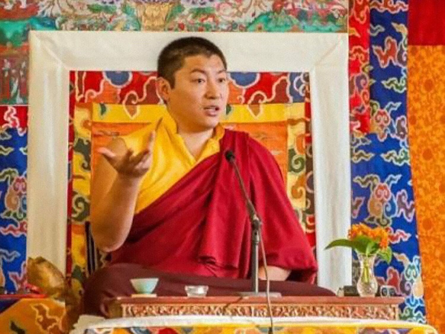 Aquest 23 de Juny, Phakchok Rinpotxé oferirà l’ensenyament “Practicar la compassió” en el Dia de la Dakini del mes sagrat de Saga Dawa