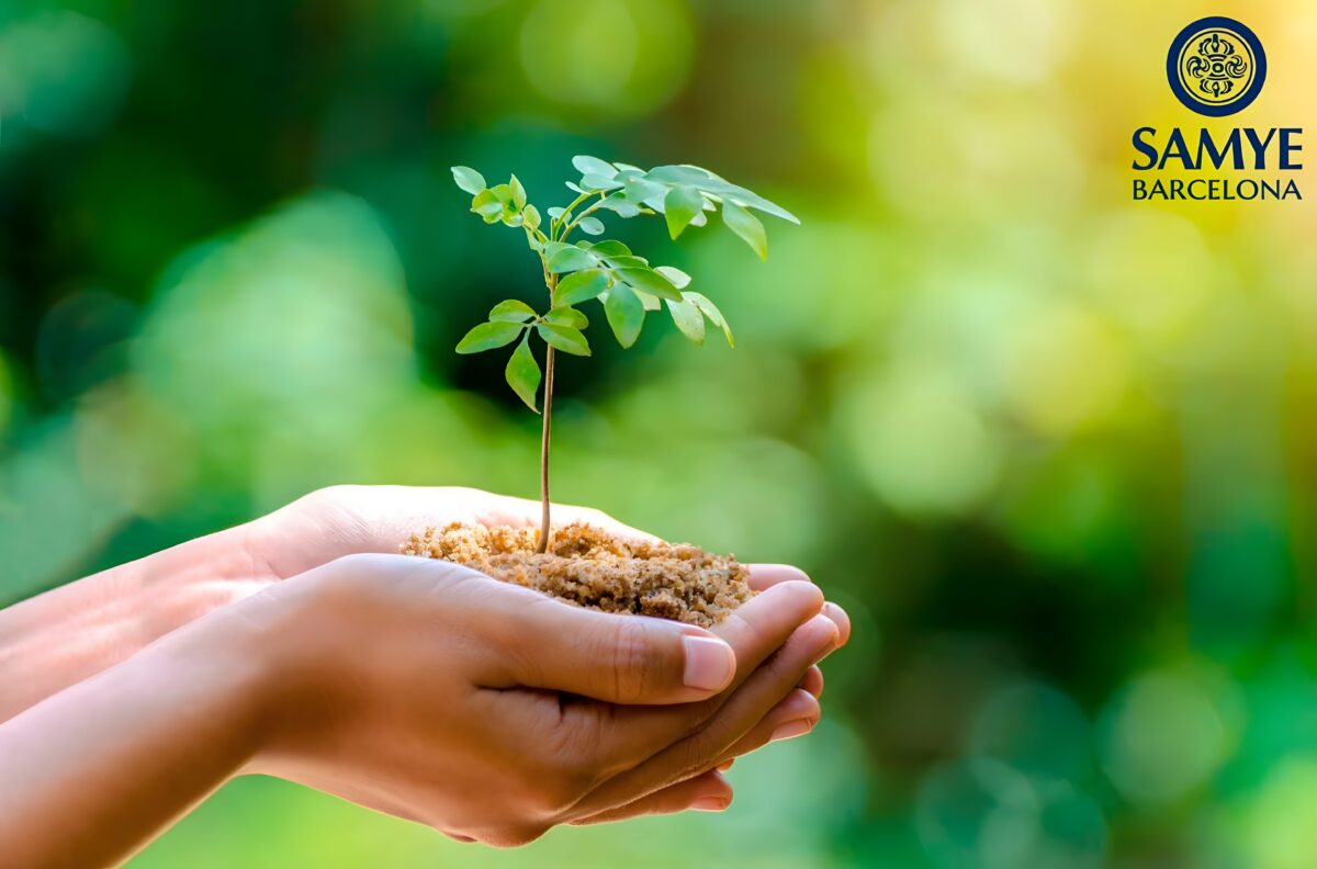 Proyecto de Inspiración con Alumnos Adolescentes en un Centro de Alta Complejidad de Barcelona